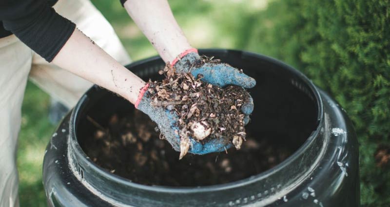 Mengenal Apa Itu Eco Enzyme Serta Cara Pembuatannya