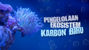 Optimalisasi Pengelolaan Ekosistem Karbon Biru di Indonesia 2025