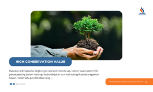 Pelatihan HCV untuk Sektor Swasta: Meningkatkan Tanggung Jawab Lingkungan