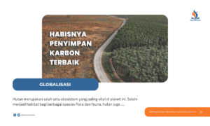 Hutan sebagai Penyimpan Karbon Terbaik, Namun Luasannya Semakin Menurun