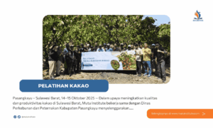 Pelatihan Budidaya Kakao di Pasangkayu: Mutu Institute dan Dinas Perkebunan & Peternakan Kab. Pasangkayu, Bersinergi Tingkatkan Kapasitas Petani Lokal
