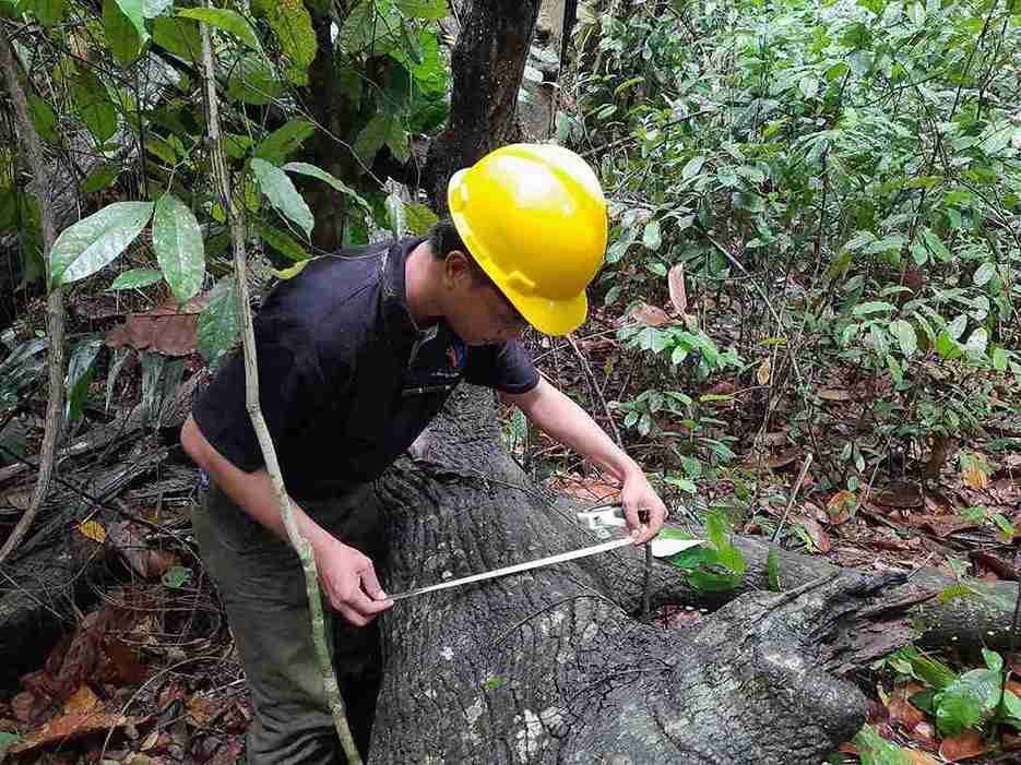 Pelatihan Jasa Lingkungan Karbon Mutu Institute di Hutan CIFOR Dramaga - Mutu Institute -12_12_11zon