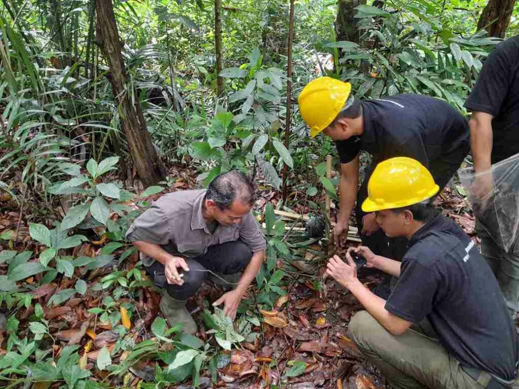 Pelatihan Jasa Lingkungan Karbon Mutu Institute di Hutan CIFOR Dramaga - Mutu Institute -8_4_11zon