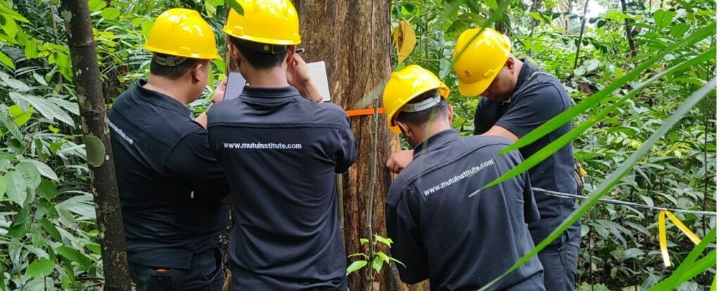 Pelatihan penghitungan Nilai Ekonomi karbon Mutu Institute dan Borneo Hijau Lestari Group -4
