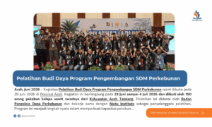 Pelatihan Budi Daya Program Pengembangan SDM Perkebunan Diikuti 150 Pekebun Aceh Tamiang – Juni 2026